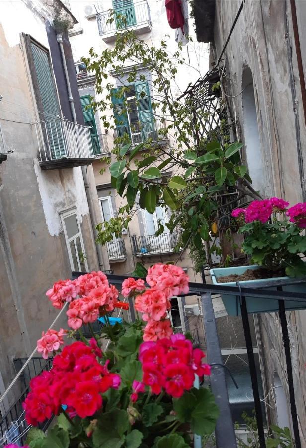 Gelso Home Napoli Bagian luar foto