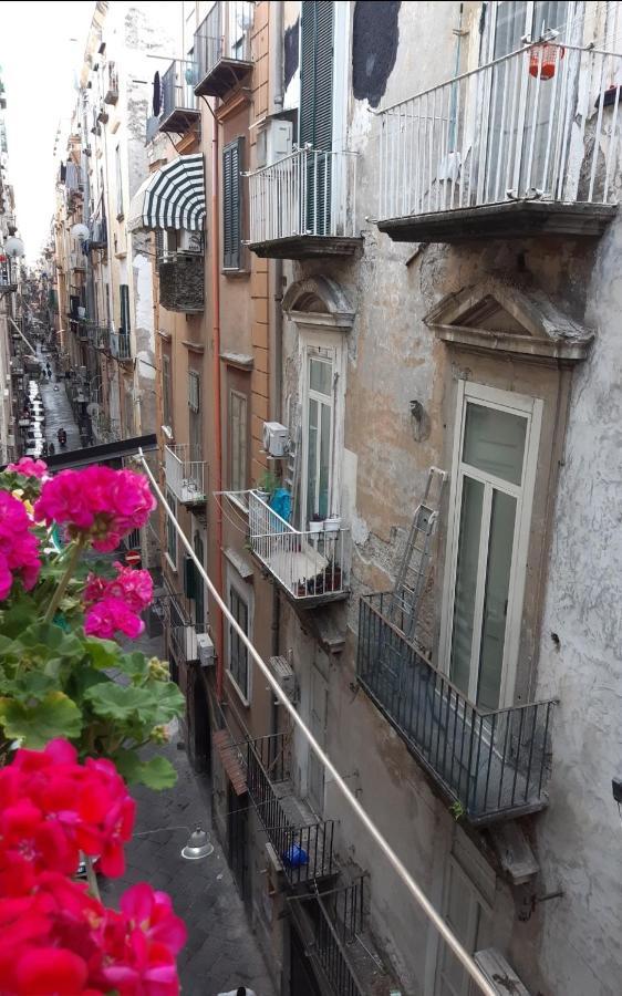 Gelso Home Napoli Bagian luar foto